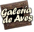 Galera de Aves